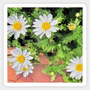 Stocksom Daisy 1. Sticker